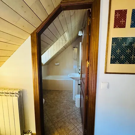 Nau Pradets Hotel Vielha